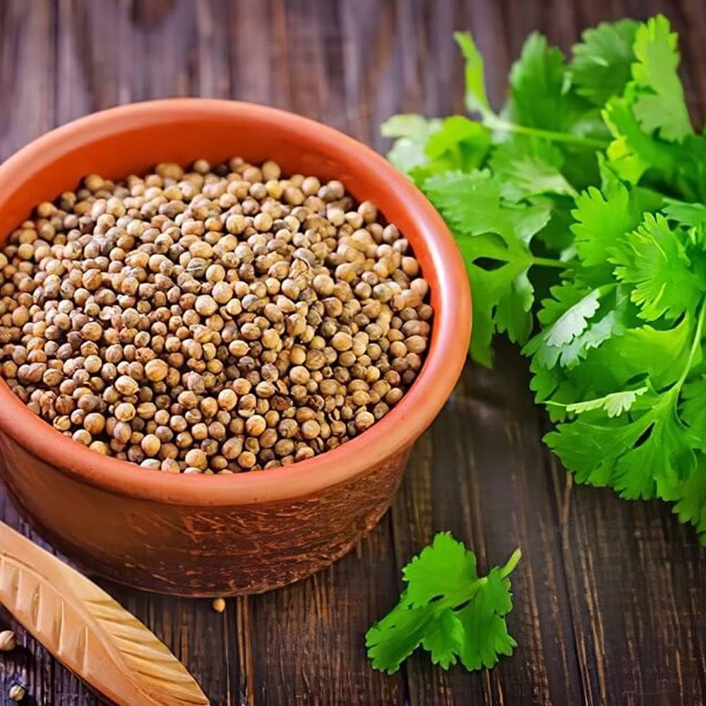 Coriander seeds 